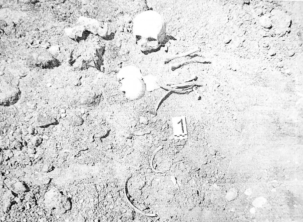 изображение_viber_2022-10-24_16-01-58-176.jpg изображение_viber_2022-10-24_16-01-58-176.jpg