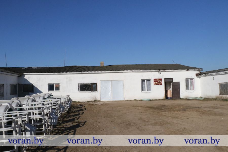 1C9A3620.JPG