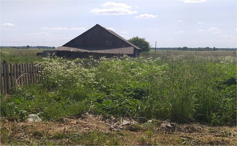 шавры дот.jpg шавры дот.jpg