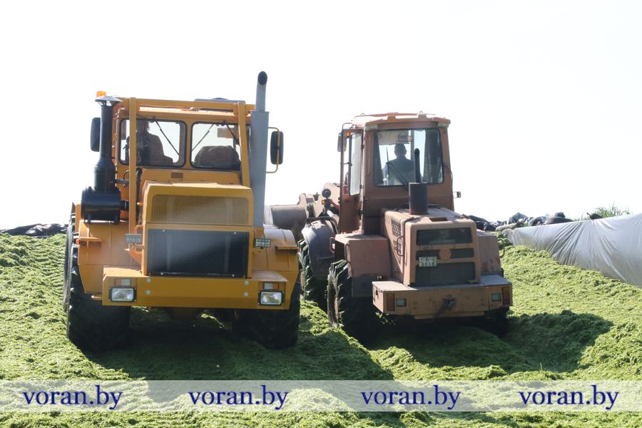 1C9A9400.JPG