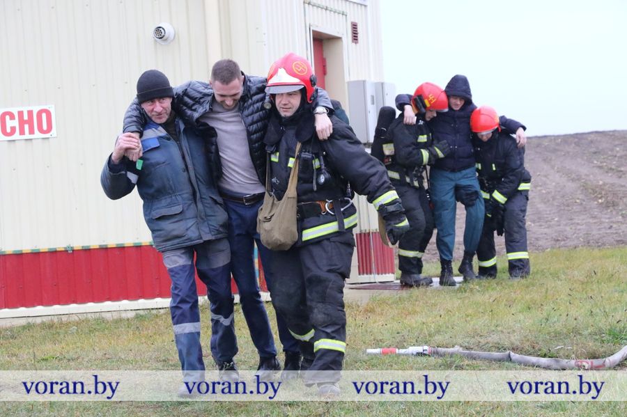 изображение_viber_2023-11-15_13-23-30-876.jpg изображение_viber_2023-11-15_13-23-30-876.jpg