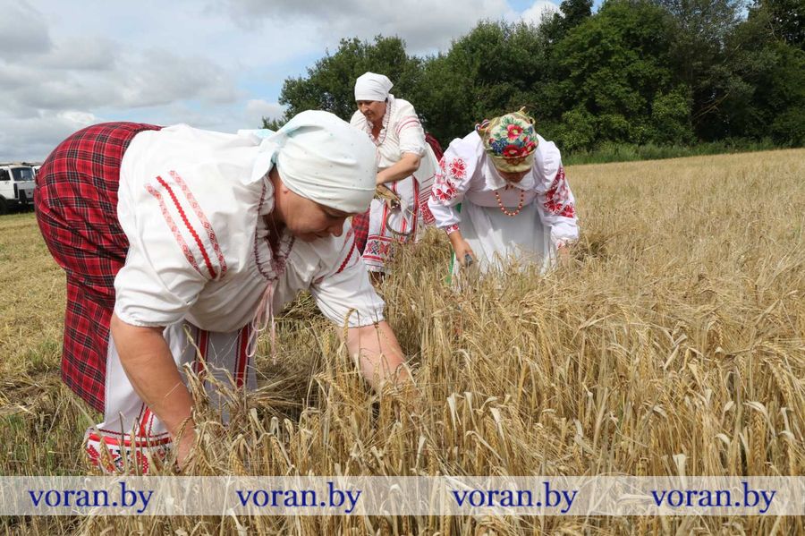 изображение_viber_2023-07-20_13-08-25-973.jpg изображение_viber_2023-07-20_13-08-25-973.jpg