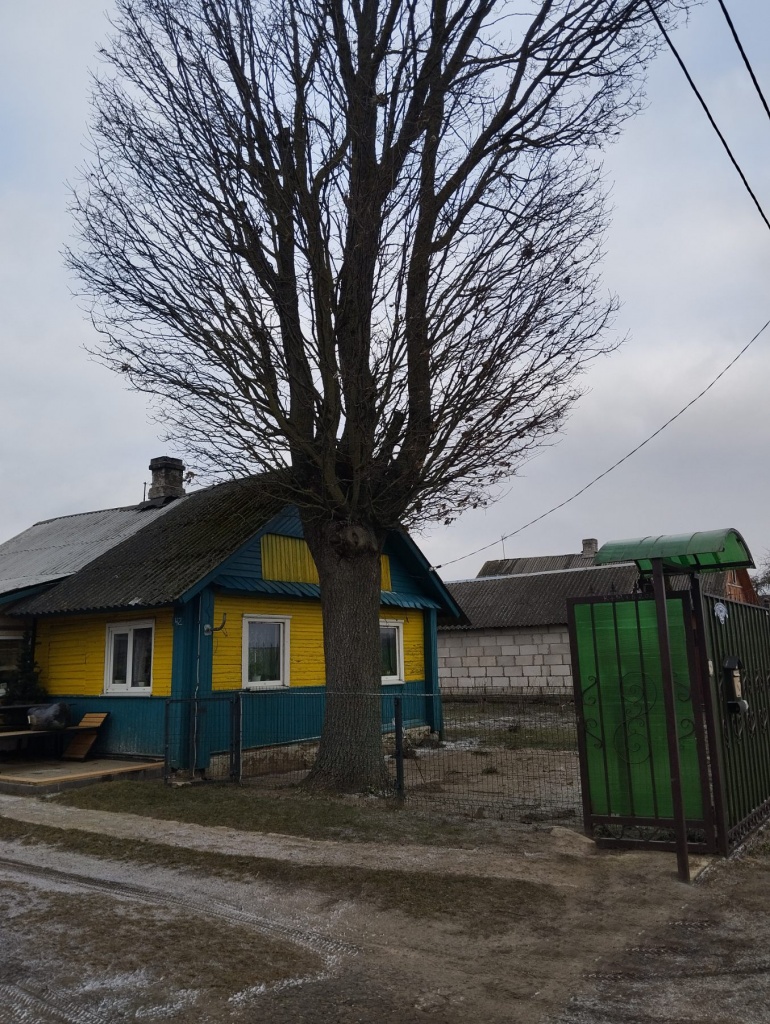 изображение_viber_2025-02-06_15-39-10-892.jpg изображение_viber_2025-02-06_15-39-10-892.jpg