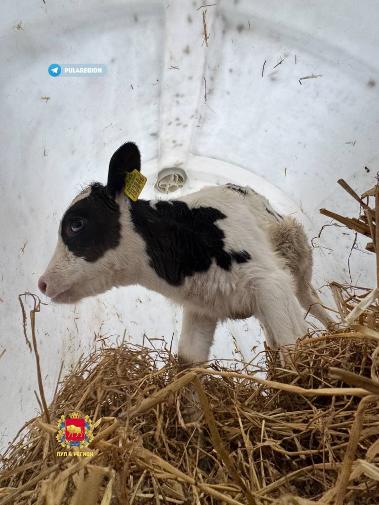 photo_2025-12-07_16-52-02.jpg photo_2025-12-07_16-52-02.jpg