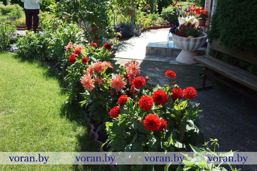 DSC01347 - копия.JPG
