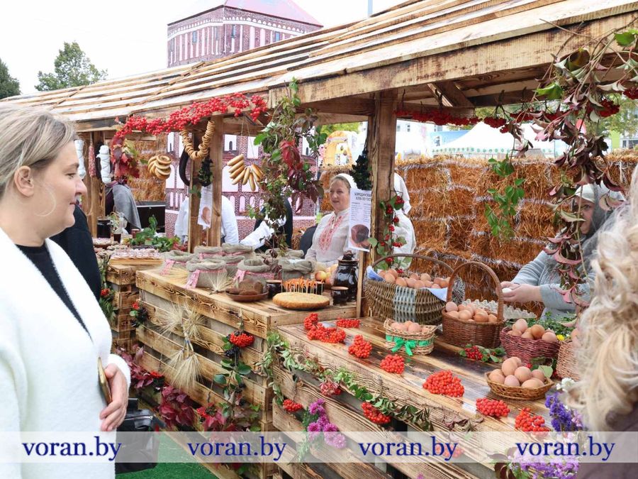 изображение_viber_2026-09-26_12-06-59-284.jpg