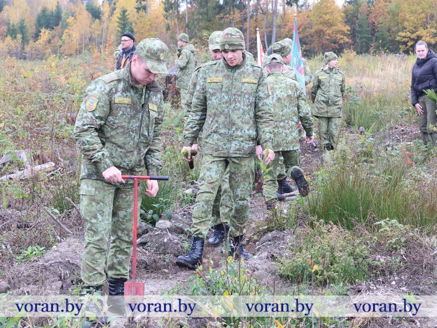 2F1A2624.JPG