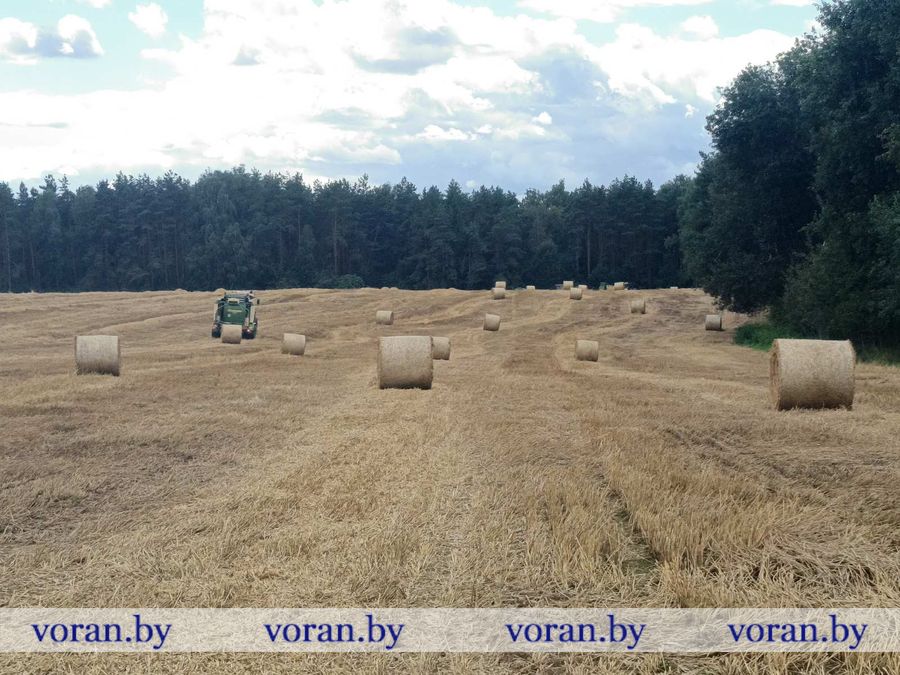изображение_viber_2026-08-12_15-50-50-557.jpg изображение_viber_2026-08-12_15-50-50-557.jpg
