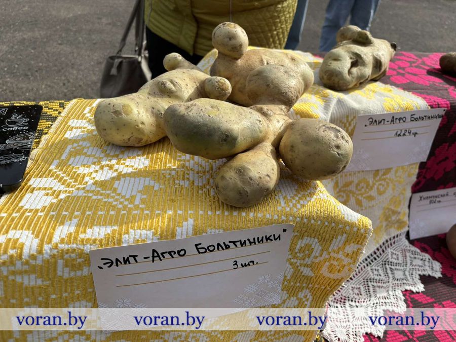 изображение_viber_2025-09-27_18-07-18-789.jpg изображение_viber_2025-09-27_18-07-18-789.jpg