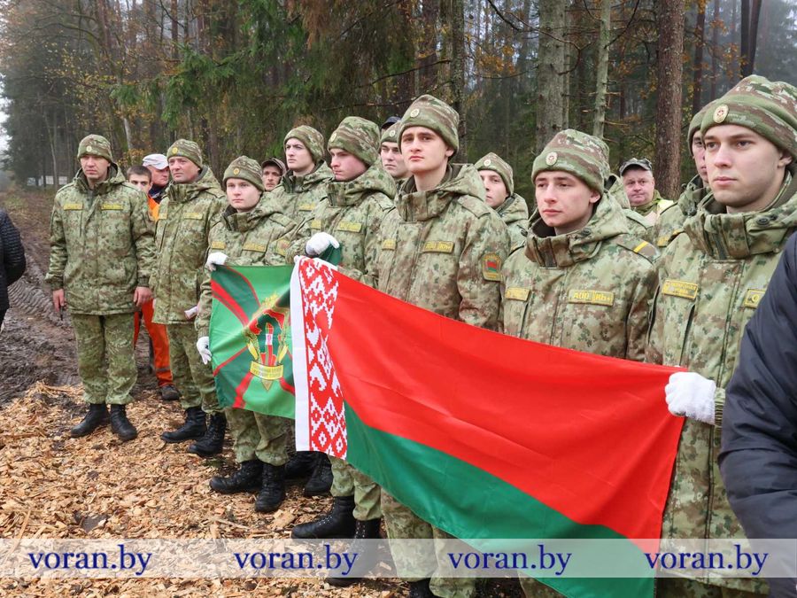 25.jpg 25.jpg