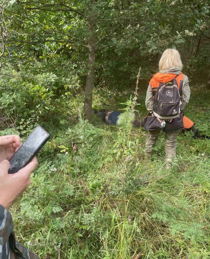 изображение_viber_2025-09-15_16-24-52-825.jpg изображение_viber_2025-09-15_16-24-52-825.jpg