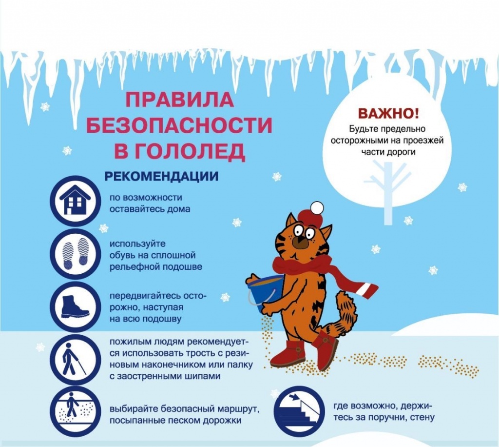 изображение_viber_2026-02-16_13-31-21-670.jpg изображение_viber_2026-02-16_13-31-21-670.jpg