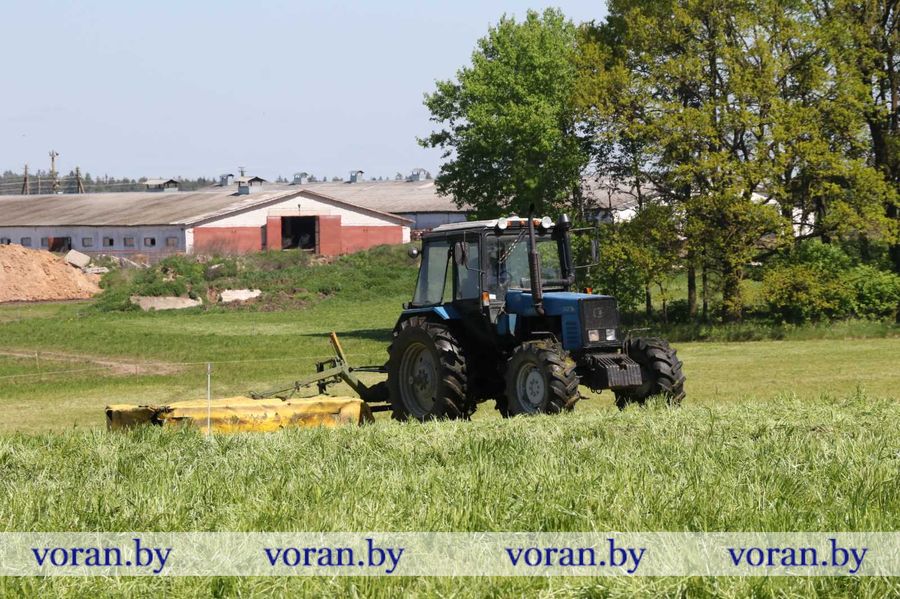 изображение_viber_2024-05-12_10-35-26-941.jpg изображение_viber_2024-05-12_10-35-26-941.jpg