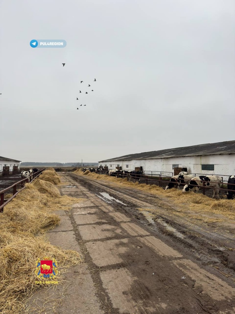 photo_2025-12-07_16-51-51.jpg photo_2025-12-07_16-51-51.jpg