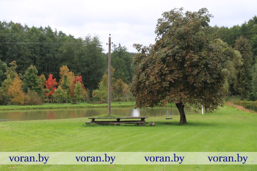 1C9A8439.JPG