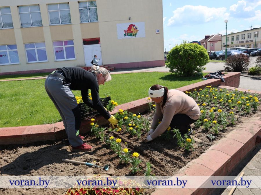 изображение_viber_2026-05-20_12-49-59-763.jpg