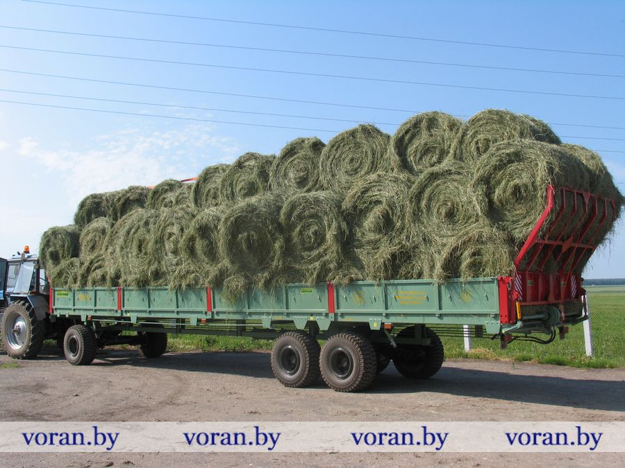 фото 105 (2).jpg фото 105 (2).jpg