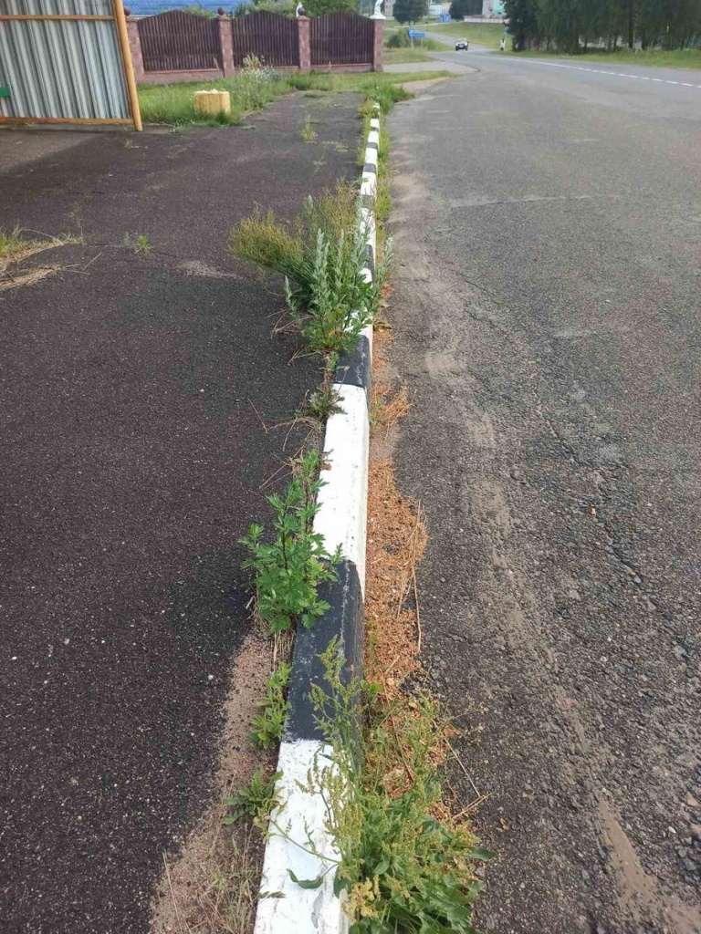 изображение_viber_2023-08-14_11-52-40-750.jpg изображение_viber_2023-08-14_11-52-40-750.jpg