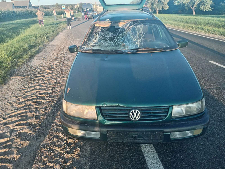 изображение_viber_2024-08-08_12-40-08-073.jpg изображение_viber_2024-08-08_12-40-08-073.jpg