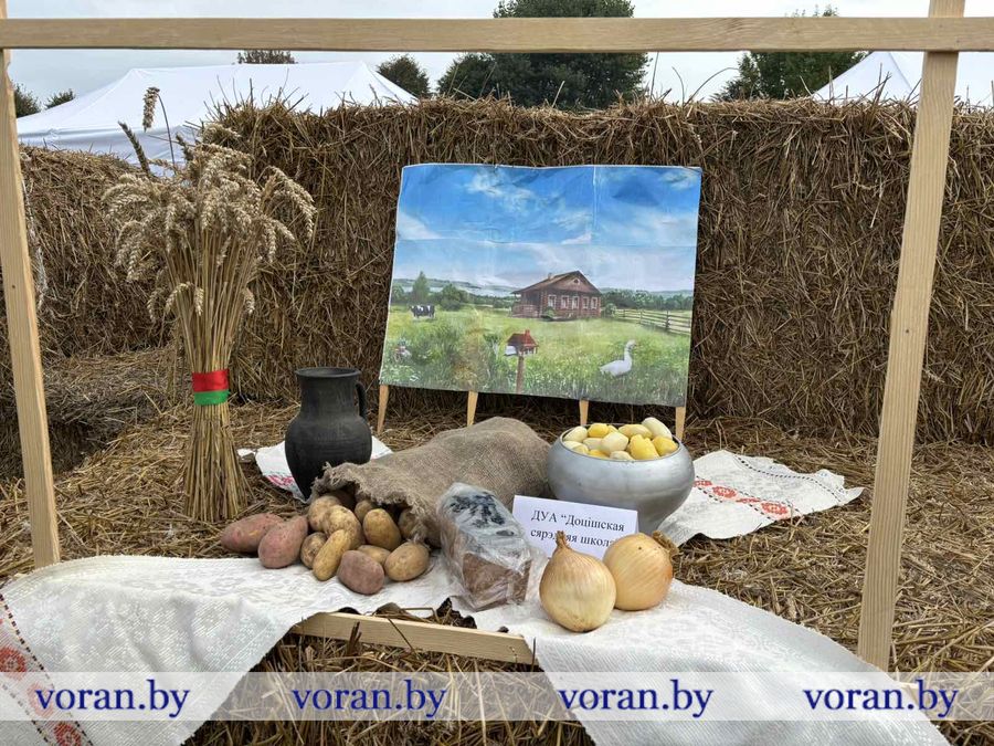 изображение_viber_2025-09-27_17-27-19-339.jpg изображение_viber_2025-09-27_17-27-19-339.jpg