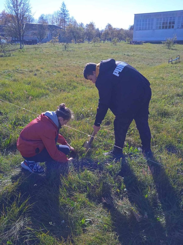 изображение_viber_2021-10-08_15-45-02-191.jpg изображение_viber_2021-10-08_15-45-02-191.jpg