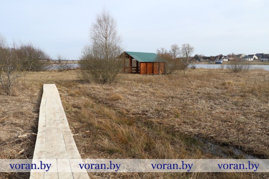 1C9A0904.JPG 1C9A0904.JPG