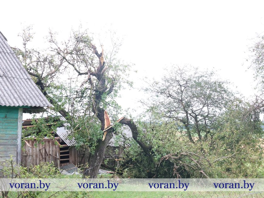 2F1A9679.JPG