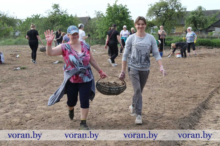 изображение_viber_2024-05-18_13-29-12-922.jpg изображение_viber_2024-05-18_13-29-12-922.jpg