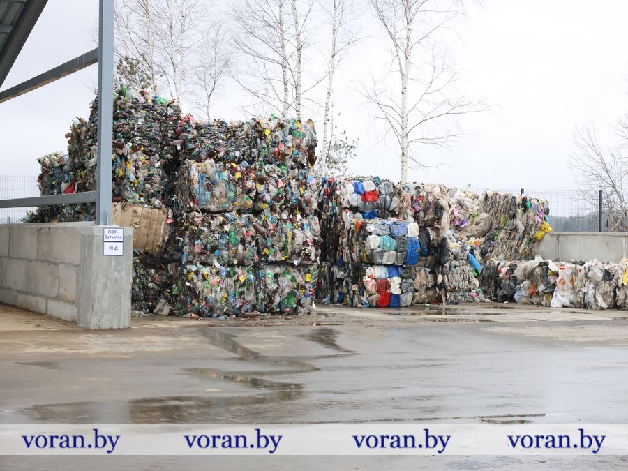 2F1A8732.JPG