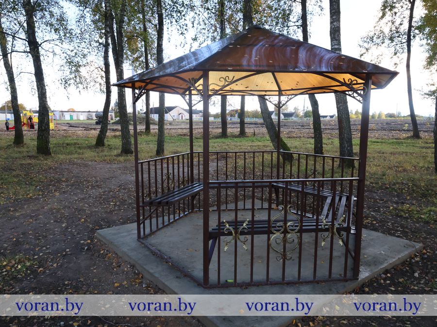 2F1A8229.JPG