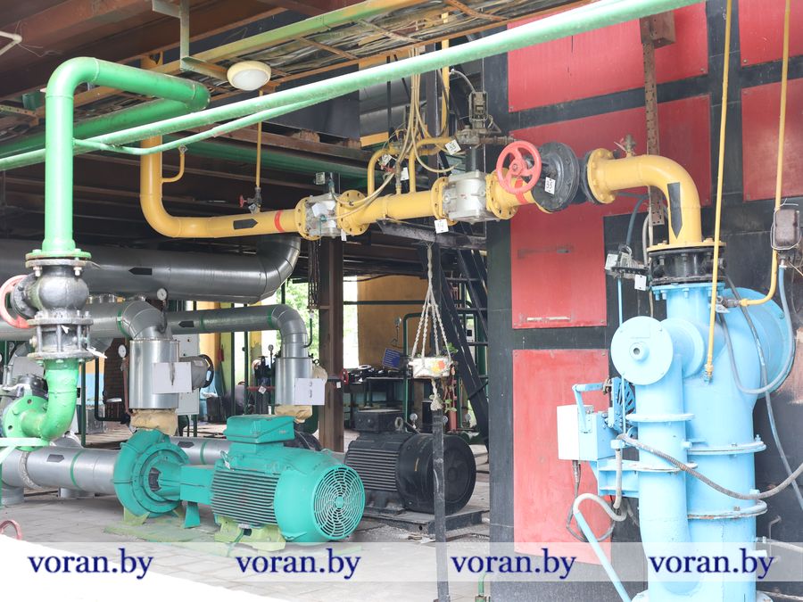2F1A8025.JPG