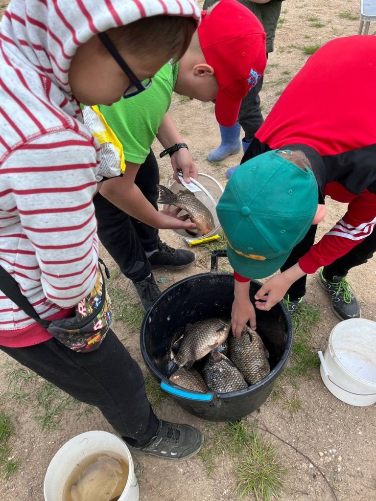 -5310188047859572779_121.jpg