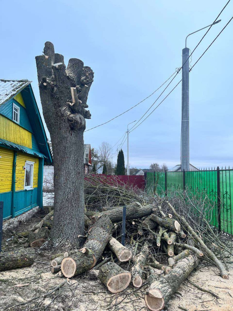 изображение_viber_2025-02-06_15-39-21-067.jpg изображение_viber_2025-02-06_15-39-21-067.jpg