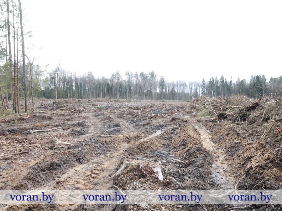2F1A0320.JPG