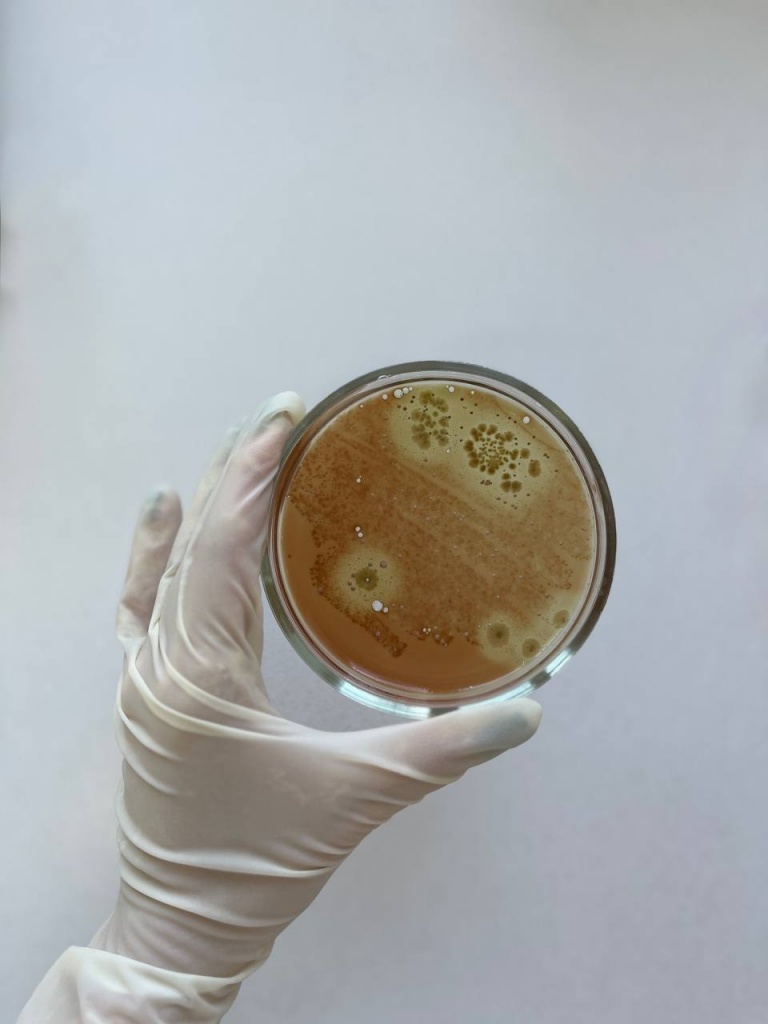 photo_2024-10-31_10-34-46.jpg photo_2024-10-31_10-34-46.jpg