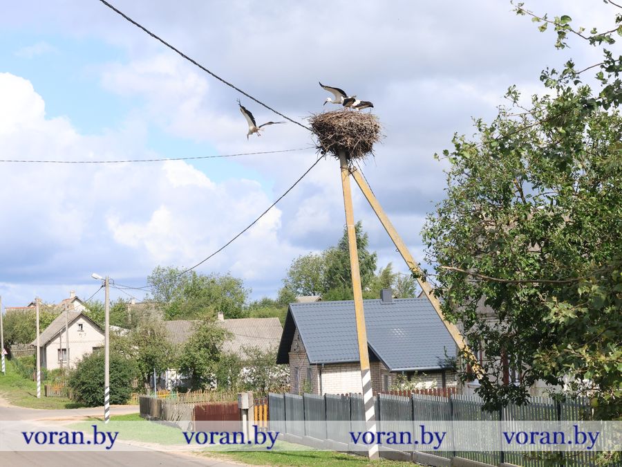 2F1A9913.JPG