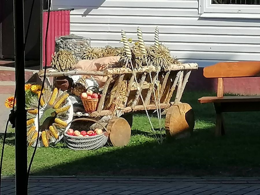 изображение_viber_2024-09-08_19-32-19-169.jpg изображение_viber_2024-09-08_19-32-19-169.jpg