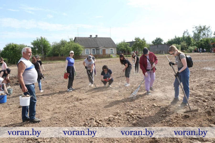 изображение_viber_2024-05-18_13-29-33-951.jpg изображение_viber_2024-05-18_13-29-33-951.jpg