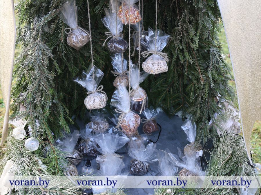 изображение_viber_2025-12-31_10-56-51-122.jpg изображение_viber_2025-12-31_10-56-51-122.jpg