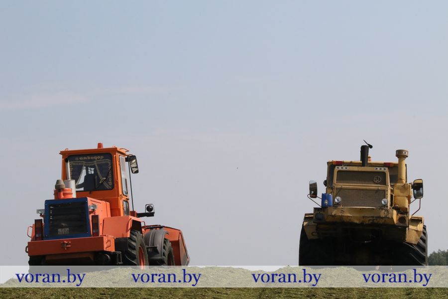 1C9A5308.JPG