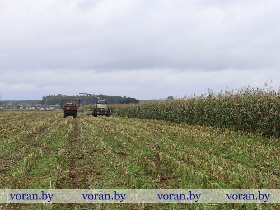 2F1A8688.JPG