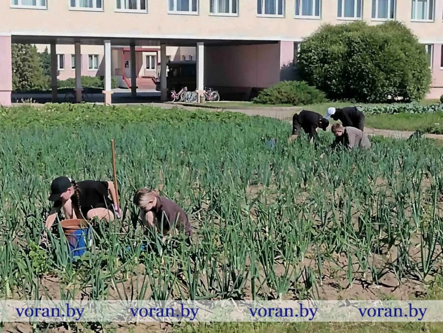 изображение_viber_2025-07-10_15-37-49-299.jpg изображение_viber_2025-07-10_15-37-49-299.jpg