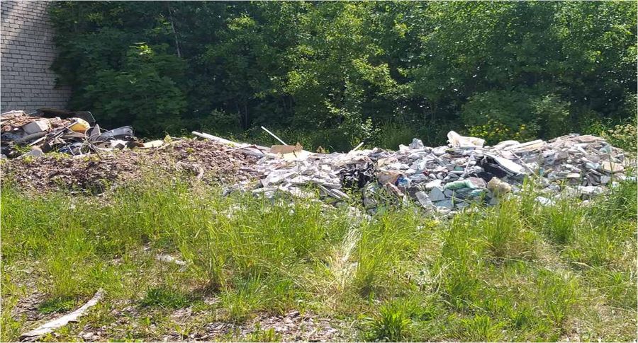 андимакс.jpg андимакс.jpg