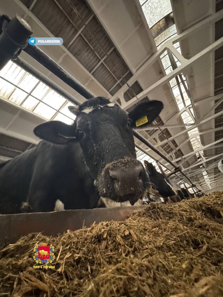 photo_2025-12-07_16-51-57.jpg photo_2025-12-07_16-51-57.jpg