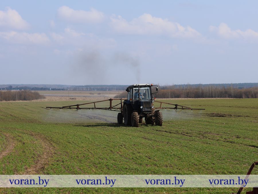 2F1A8373.JPG