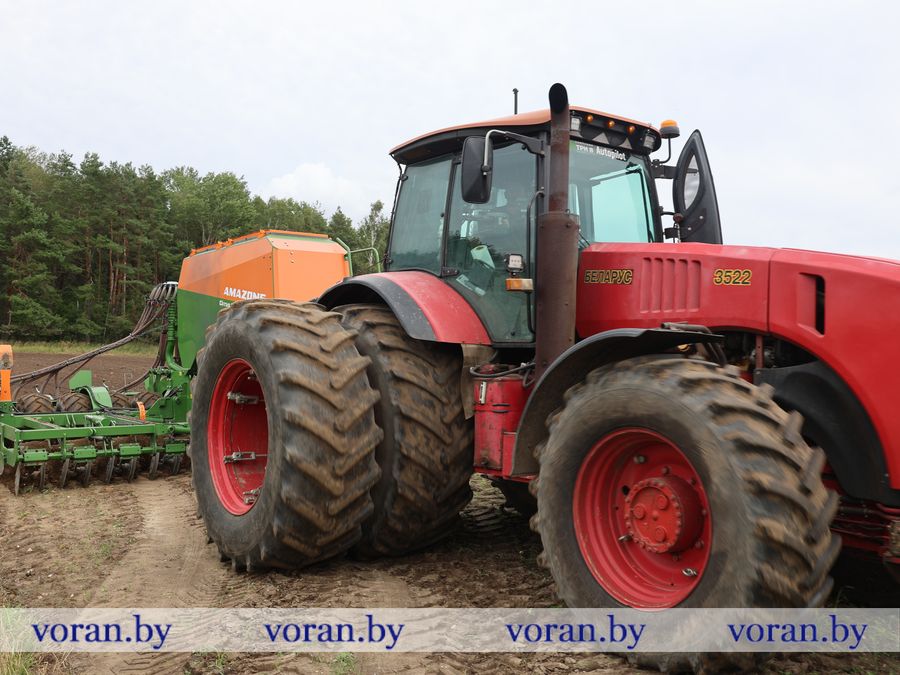 2F1A2203.JPG