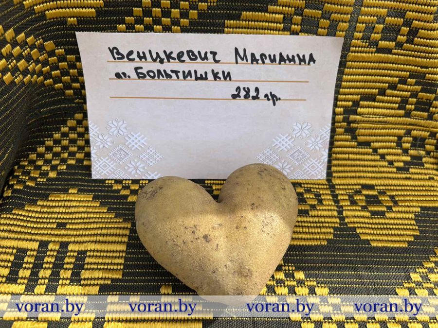 изображение_viber_2025-09-27_18-07-18-489.jpg изображение_viber_2025-09-27_18-07-18-489.jpg