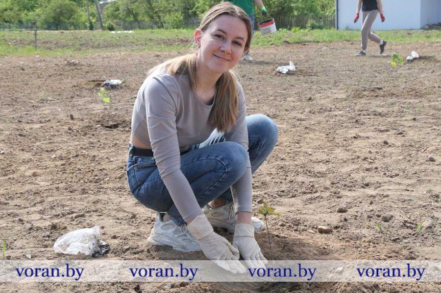 изображение_viber_2024-05-18_13-28-19-450.jpg изображение_viber_2024-05-18_13-28-19-450.jpg