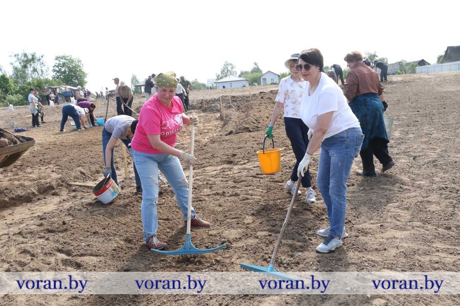 изображение_viber_2024-05-18_13-28-08-693.jpg изображение_viber_2024-05-18_13-28-08-693.jpg