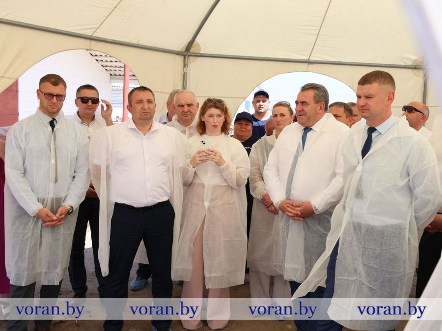 изображение_viber_2026-07-16_17-25-44-440.jpg изображение_viber_2026-07-16_17-25-44-440.jpg